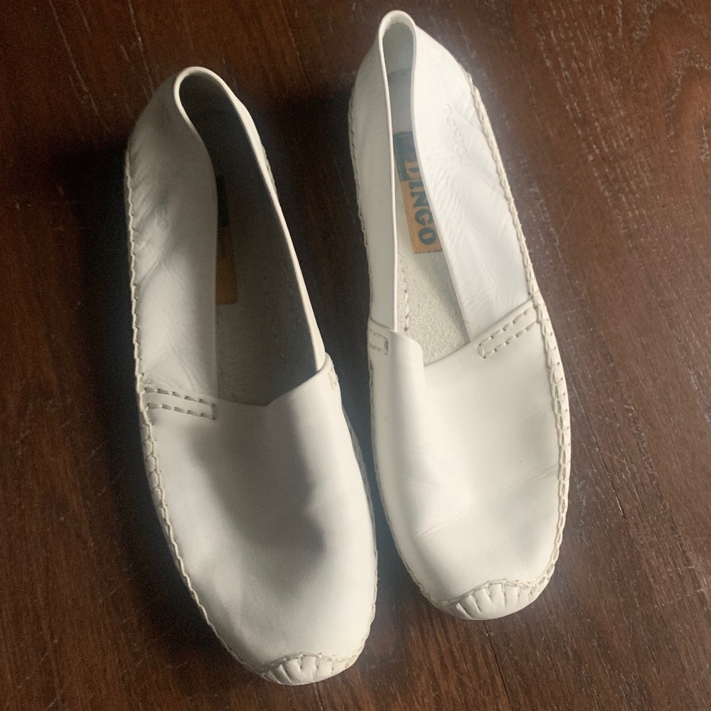 Dingo Mens slip on shoes